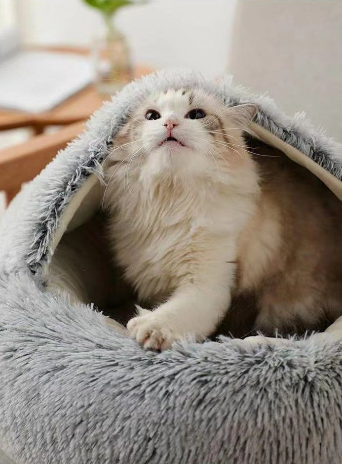Mysig Kattbädd | Halvsluten Grotta med Huva — Perfekt för Alla Årstider
