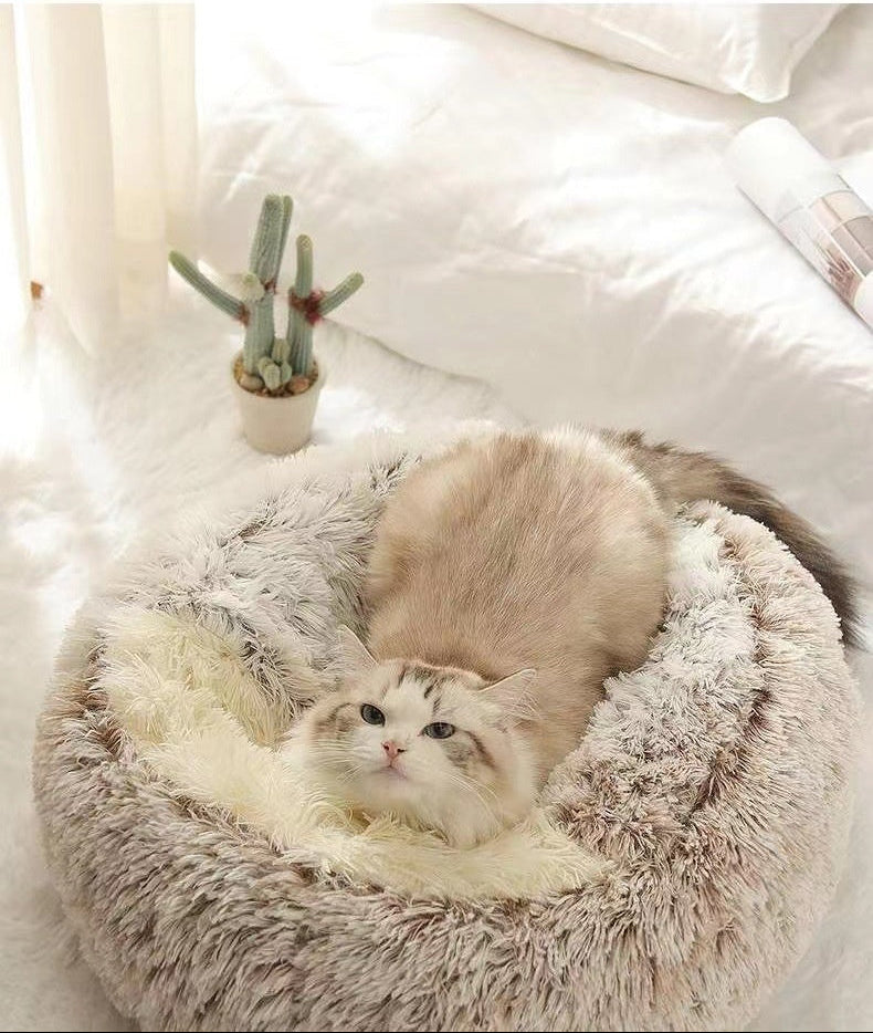 Mysig Kattbädd | Halvsluten Grotta med Huva — Perfekt för Alla Årstider